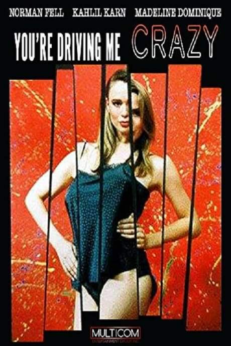 You’re Driving Me Crazy (1991) movie poster