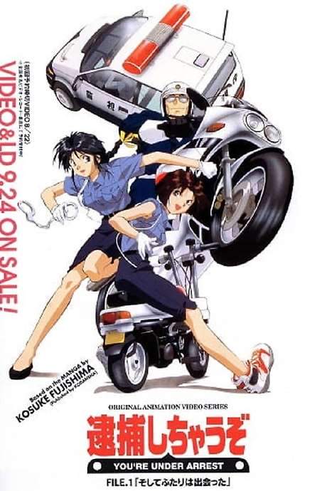 You’re Under Arrest (1994) movie poster