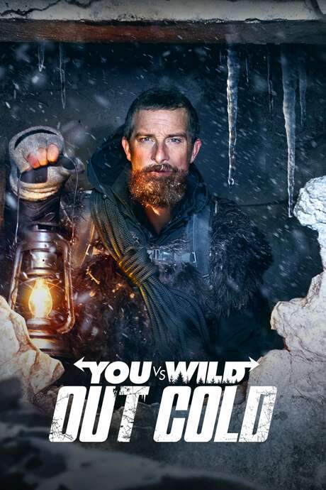 You vs. Wild: Out Cold (2021) movie poster