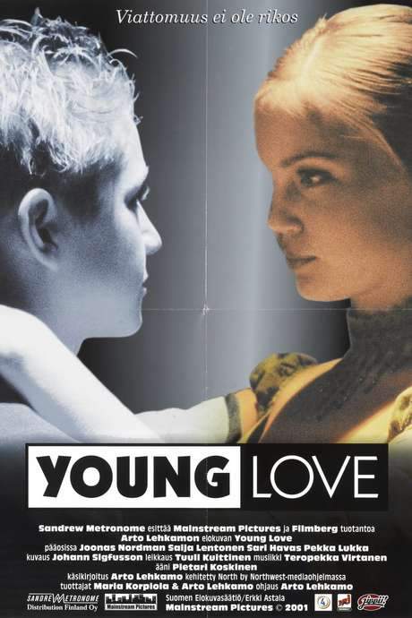 Young Love (2001) movie poster