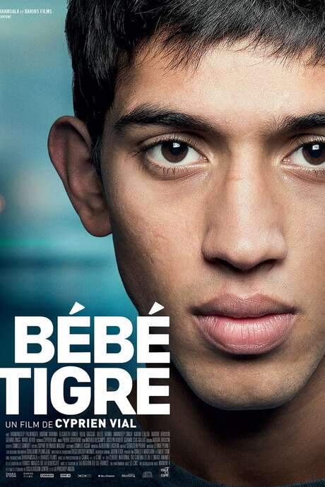 Young Tiger (2015) movie poster
