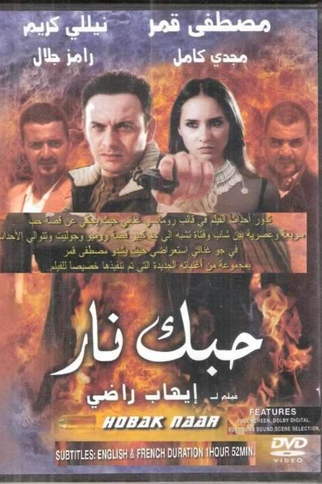 Your Love’s Fire (2004) movie poster
