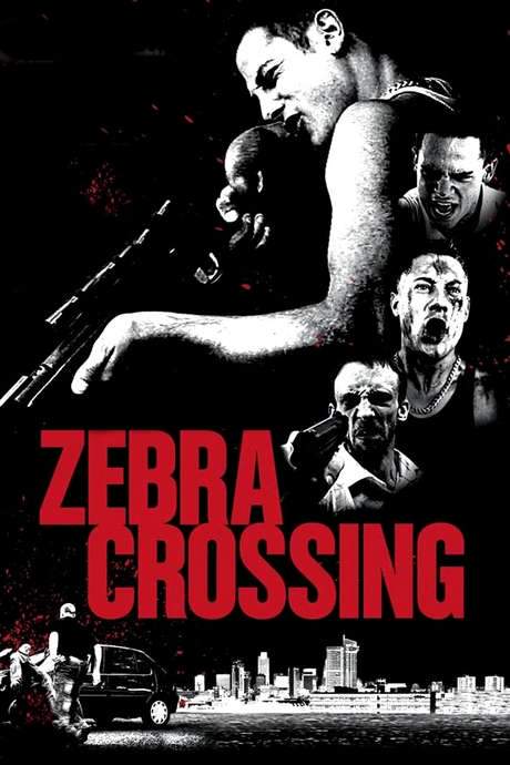 Zebra Crossing (2008) movie poster
