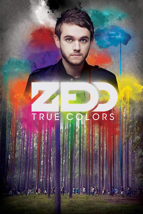 Zedd: True Colors (2016) movie poster