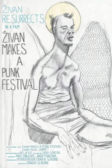 Zivan Makes a Punk Festival (2014) movie poster