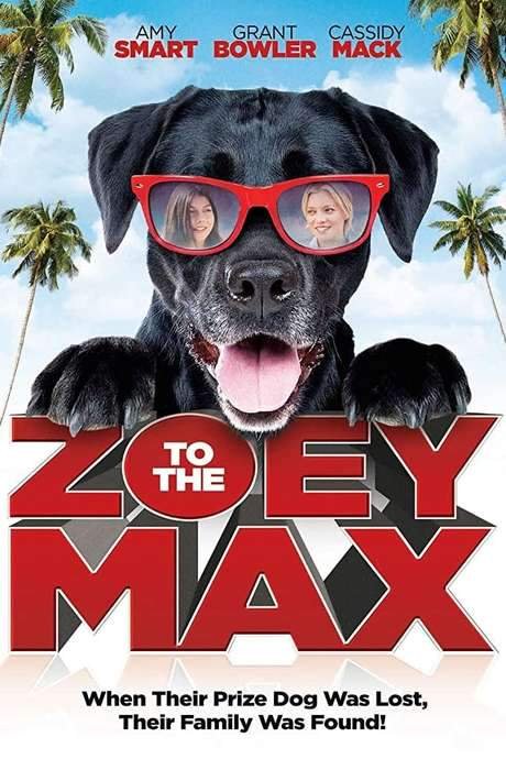 Zoey to the Max (2015) movie poster