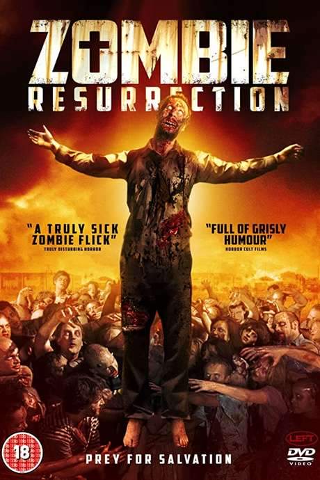 Zombie Resurrection (2014) movie poster