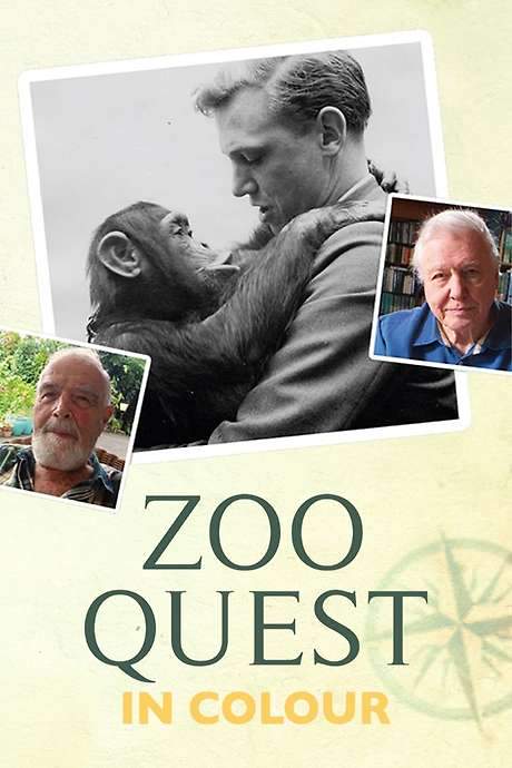 Zoo Quest in Colour (2016) movie poster