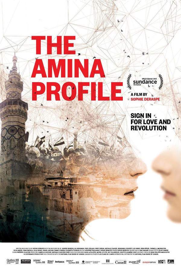 A Gay Girl in Damascus: The Amina Profile