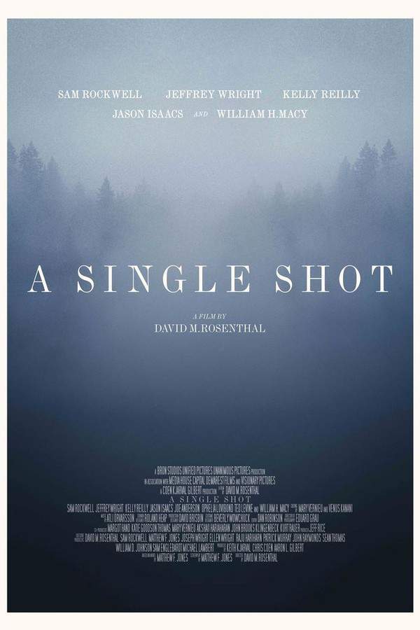 A Single Shot