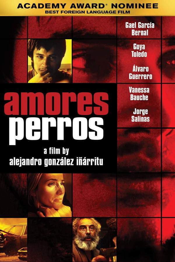 Amores Perros