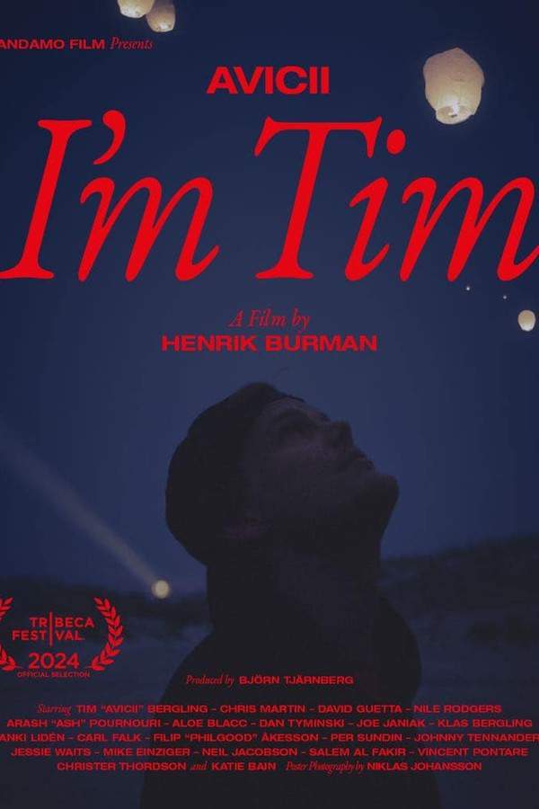 Avicii - I'm Tim