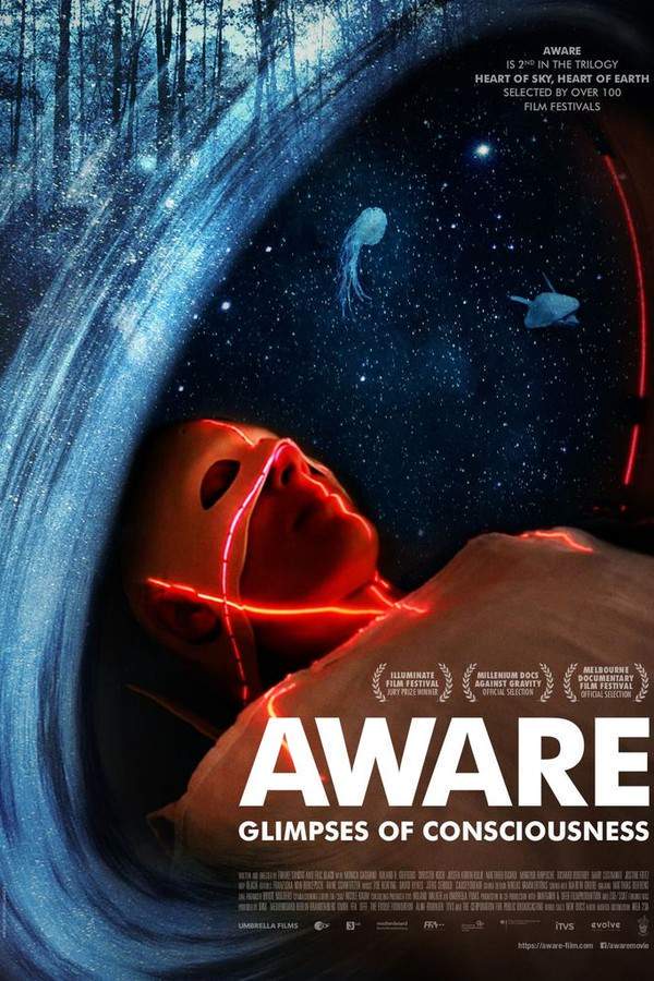 Aware: Glimpses of Consciousness