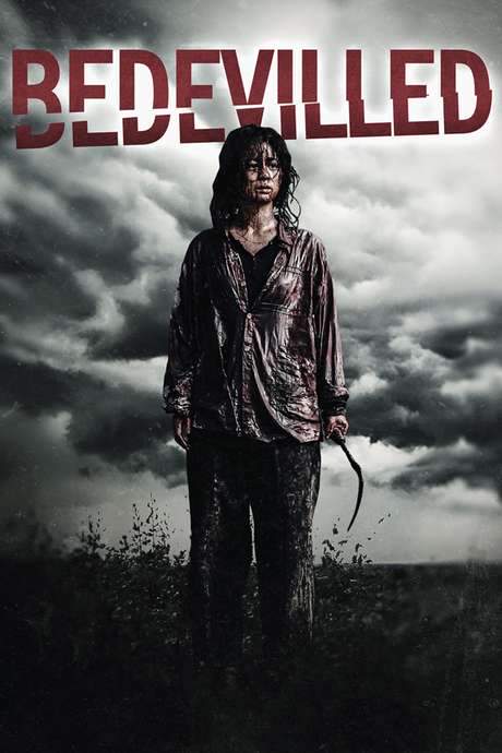 Bedevilled (2010) movie poster