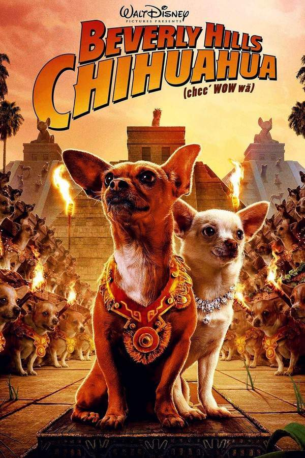 A pampered Chihuahua named Chloe gets lost in Mexico and must navigate the unfamiliar and sometimes dangerous streets. Her devoted owner, Papi, embarks on a frantic rescue mission, teaming up with a diverse group of companions. Along the way, they encounter two humans, a clever rat, and a nervous iguana, all while trying to reunite Chloe with her family.