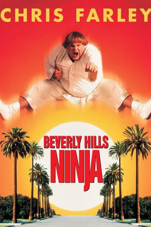 Beverly Hills Ninja