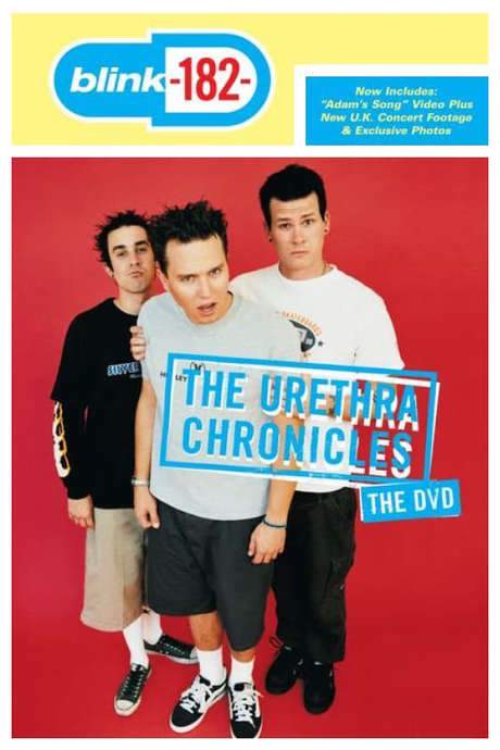 blink-182: The Urethra Chronicles (1999) movie poster
