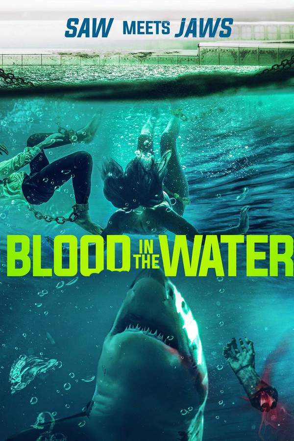 Blood in the Water