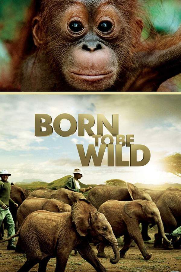 Born to Be Wild