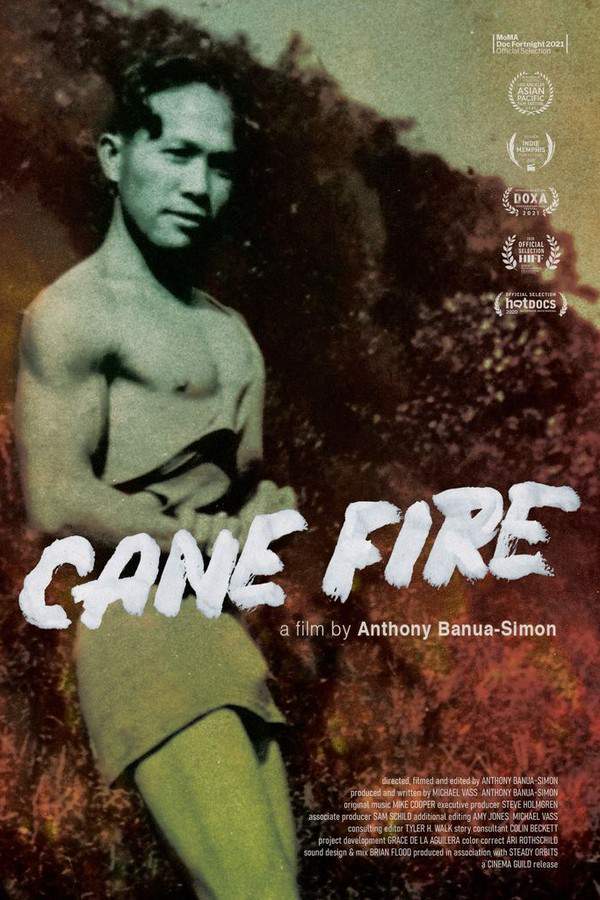 This documentary explores the hidden history of Kauaʻi, revealing a complex narrative beyond its beautiful image. Through the perspective of Anthony Banua-Simon, the film investigates the legacy of sugar plantations and their impact on the island. It examines the displacement of Indigenous populations and the struggles faced by the working class, presenting a reframed story using a variety of sources to uncover a history of colonialism and environmental devastation.