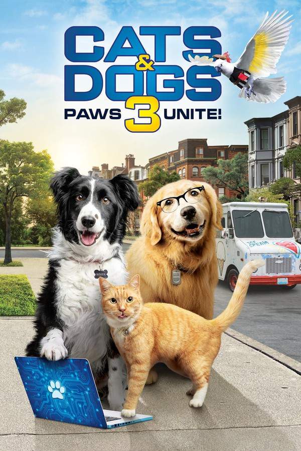 Cats & Dogs