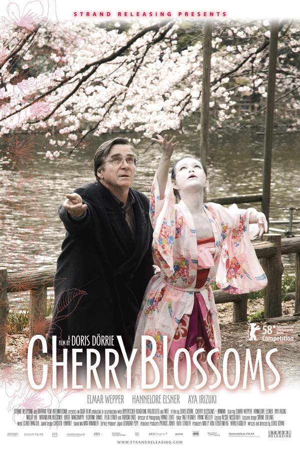 Cherry Blossoms