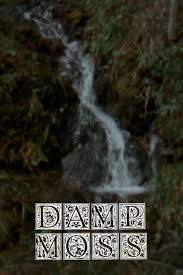 Damp Moss