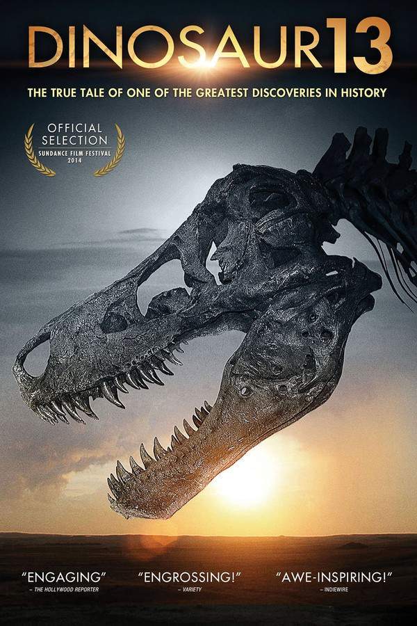 Dinosaur 13