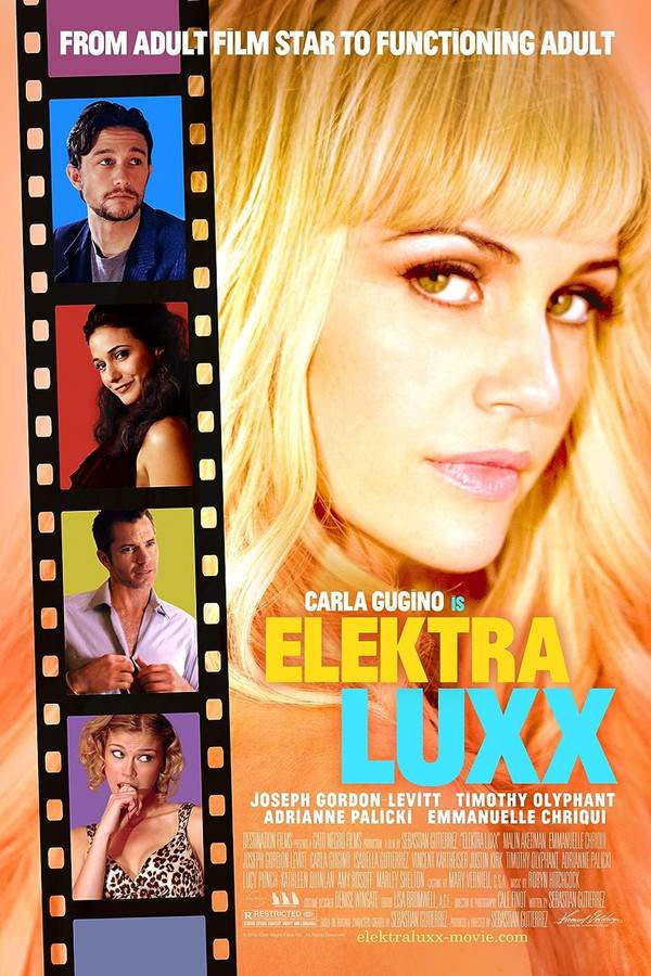 Navigating life after retiring from the adult film industry, Elektra Luxx discovers she is pregnant with the child of deceased rock star Nick Chapel. This unexpected situation sets her on a journey of self-discovery, complicated by a surprise marriage proposal from a former acquaintance. As Elektra grapples with the prospect of motherhood and personal growth, she confronts her past and finds herself in a series of unusual and unpredictable encounters.