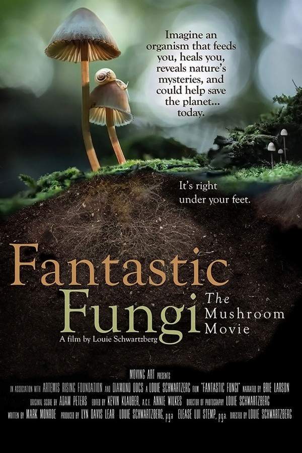 Fantastic Fungi