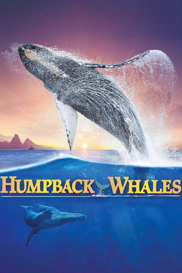 Humpback Whales