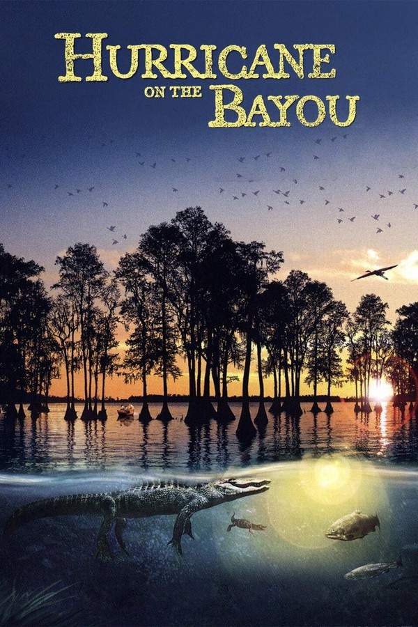 A team initially intended to document Louisiana’s disappearing wetlands and the potential impact of a major hurricane. When Hurricane Katrina devastated New Orleans, their project evolved into a powerful account of the city’s struggle for recovery. The documentary captures the immediate aftermath, highlighting the resilience of the community and the urgent need to rebuild both the city’s infrastructure and its natural environment. It serves as a poignant call to action to protect the region’s vulnerable landscapes and safeguard its cultural heritage.