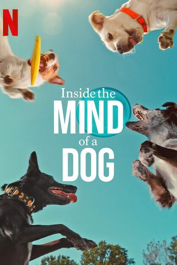 Inside the Mind of a Dog