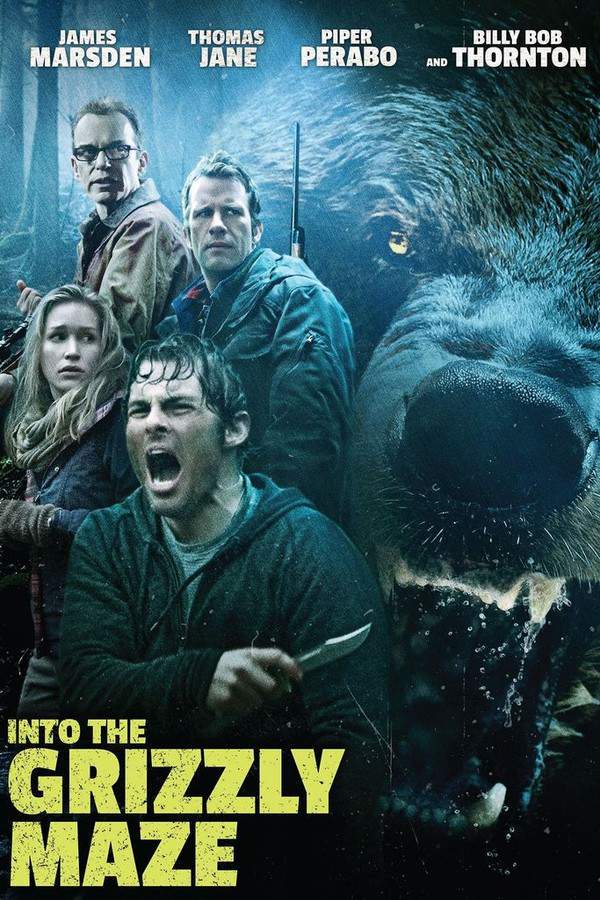 Into the Grizzly Maze