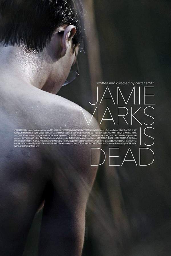 A sudden death rocks a small town during winter, leaving a community shaken. When star athlete Adam finds the body of Jamie Marks by the river, he begins to experience strange occurrences and a haunting presence. He finds himself drawn to Gracie, and their growing relationship is complicated by the unsettling connection to the deceased teenager and the mysteries surrounding his death.