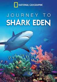 Journey to Shark Eden