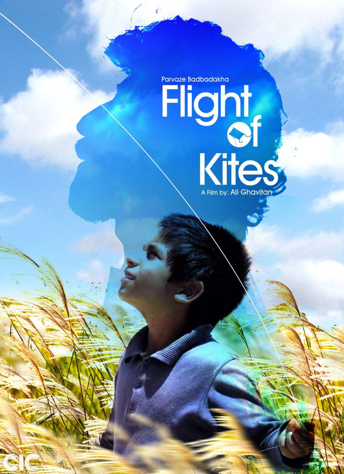Kite