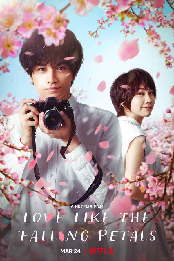 Aspiring photographer Haruto's life takes a romantic turn when he meets Misaki, a charming hairstylist. Their whirlwind romance is filled with joy, but their happiness is threatened when Misaki is diagnosed with a rare condition that causes her to age rapidly. Faced with a heartbreaking prognosis, Haruto and Misaki must navigate their love and cherish every precious moment they have left together, confronting the challenges of their situation and finding strength in their bond.
