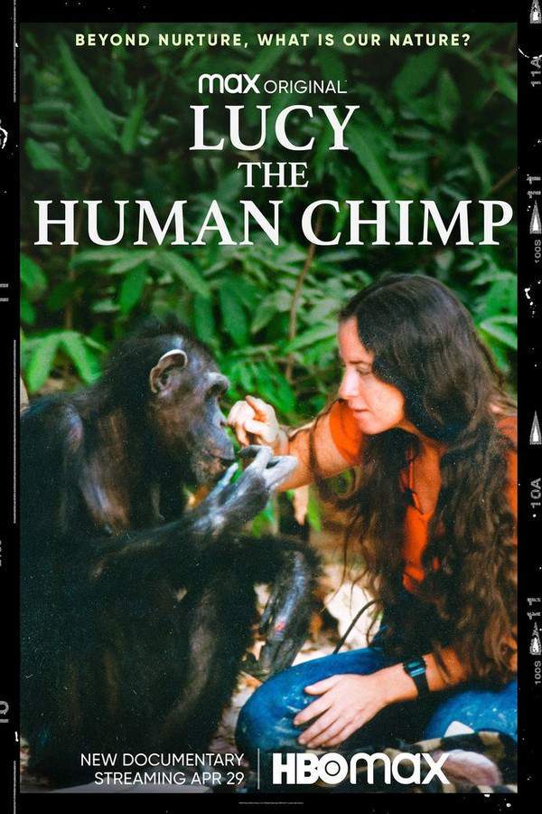 Lucy The Human Chimp