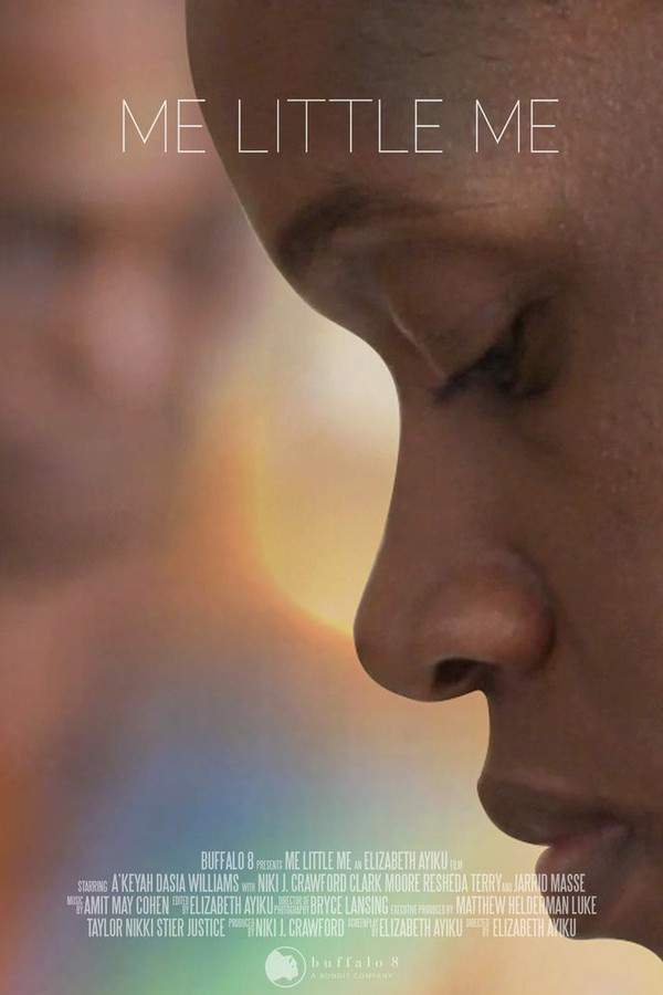 An ambitious young woman’s unexpected career advancement leads to intense pressure and challenges in a male-dominated field, impacting her mental health and relationships. Haunted by memories of her past, she struggles to find happiness amidst the demanding expectations.