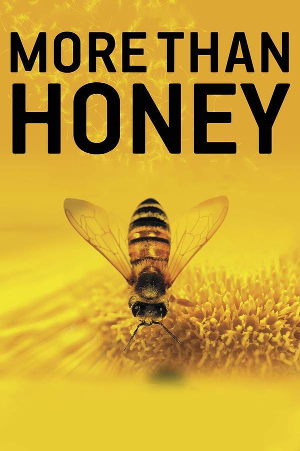"More Than Honey" explores the concerning decline of bee populations worldwide. Through the perspectives of beekeepers and scientists, the documentary highlights the vital role these insects play in our ecosystem and food supply. The film examines the causes of the bee decline, prompting reflection on the consequences for the planet's ecological balance and the future of modern society.