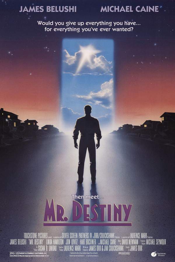 Mr. Destiny