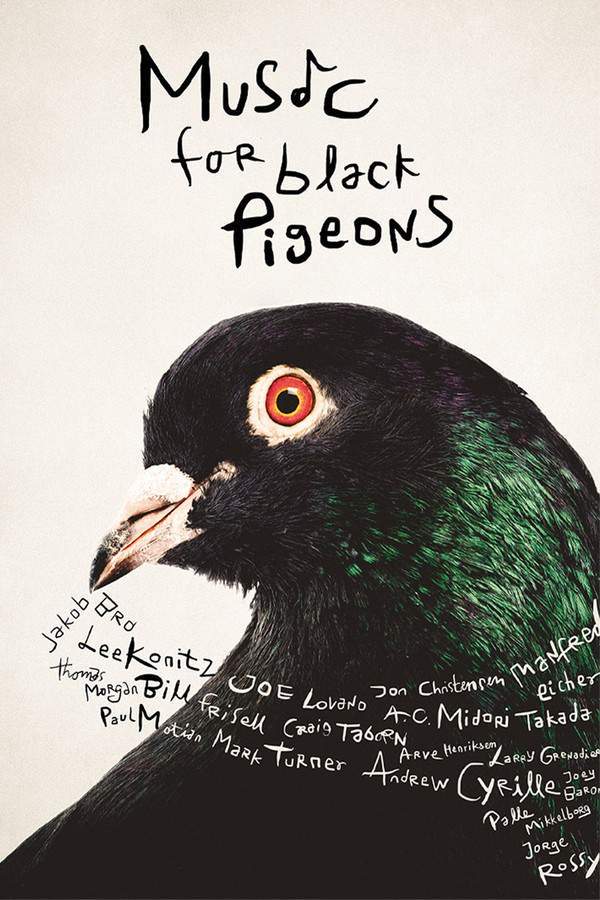 Music for Black Pigeons