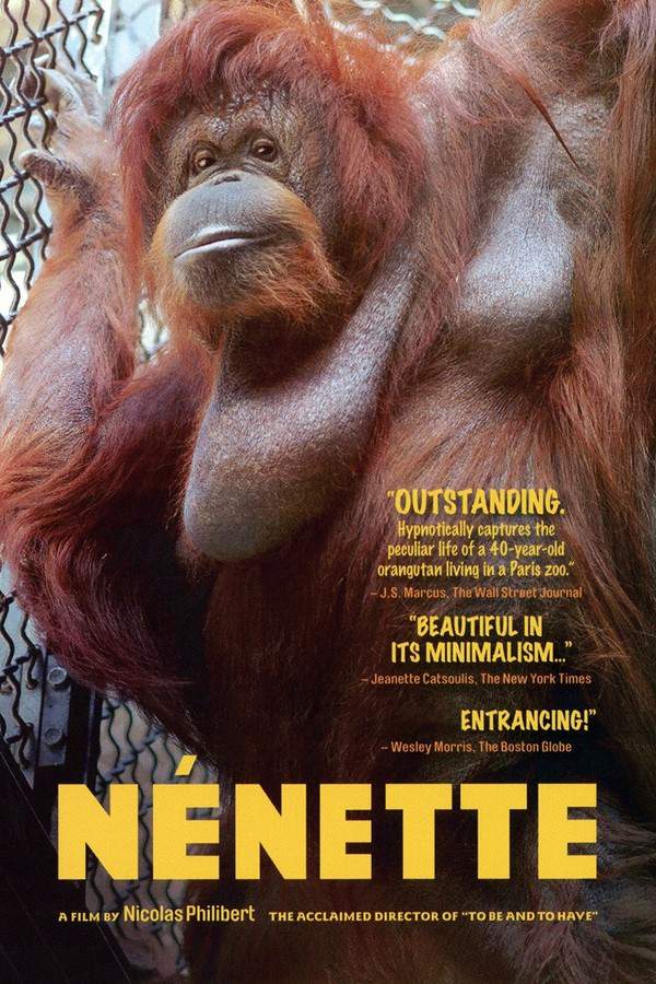 Nénette