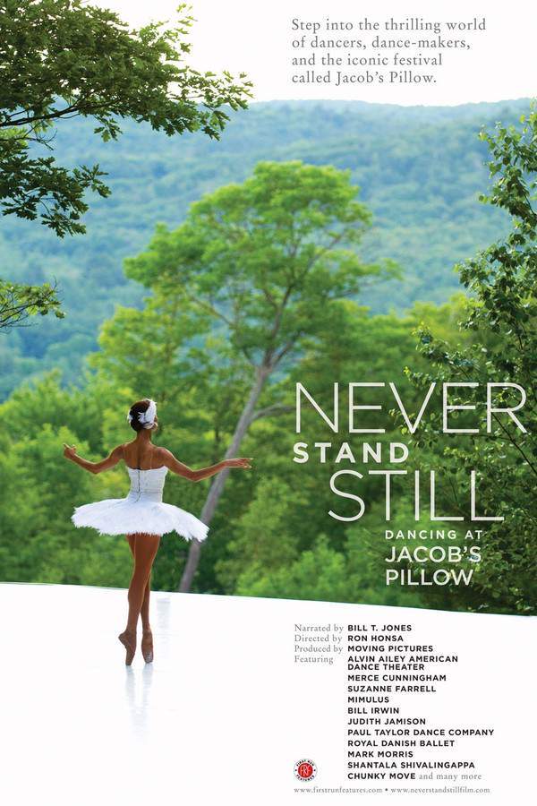 Never Stand Still