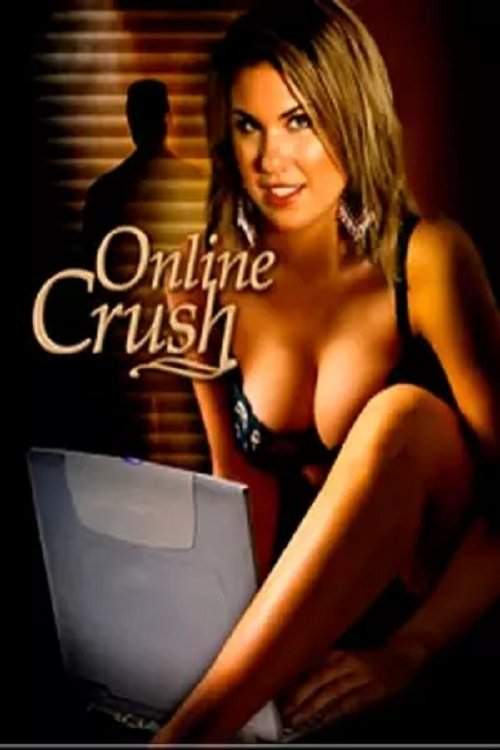 After a friend nudges him to join a social‑networking site, a lonely bachelor begins scrolling through former high‑school crushes, thinking love is only a click away. The search takes an unexpected turn when he finds himself drawn to his friend’s attractive sister, turning an online quest into a tangled real‑life romance.