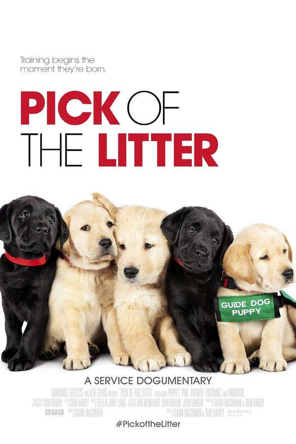 Pick of the Litter