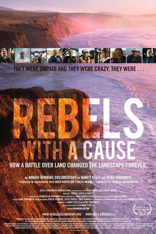 Rebels with a Cause