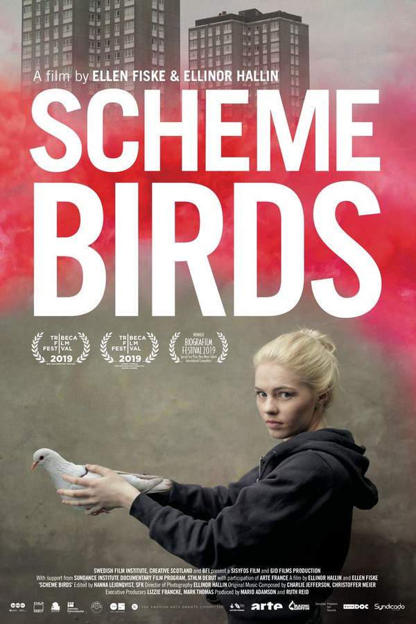 Scheme Birds
