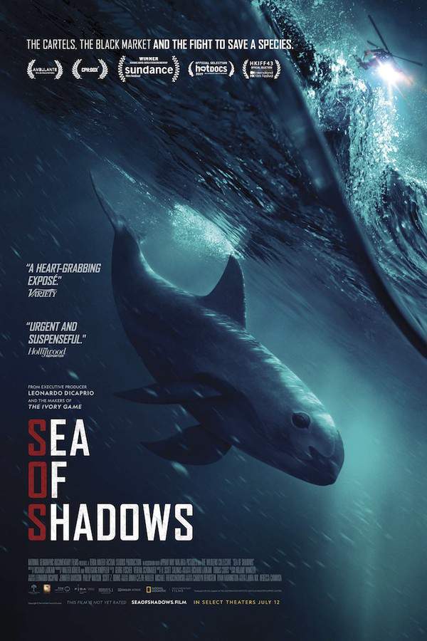 Sea of Shadows
